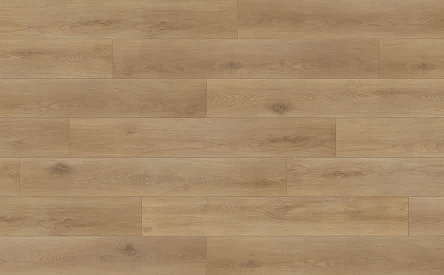 CH-18205 Cappuccino full web-1