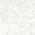 0714 BRL WHITE ESA 2-1