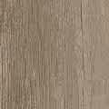 SunwoodPro LegendBeige 120x120 ColorSwatch