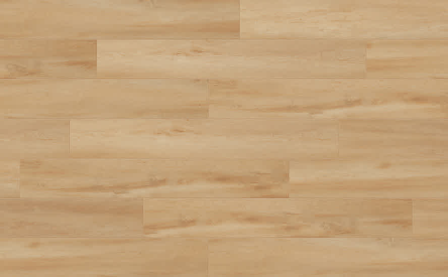 CH-18201 Latte full web-1
