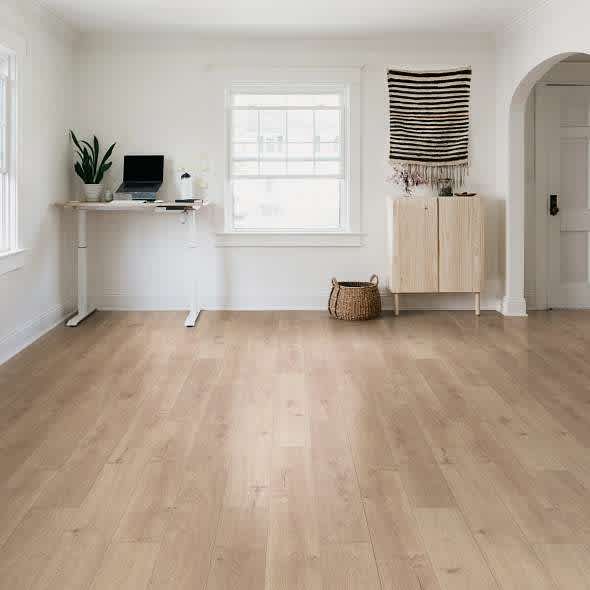 0447U 02025 ROOM