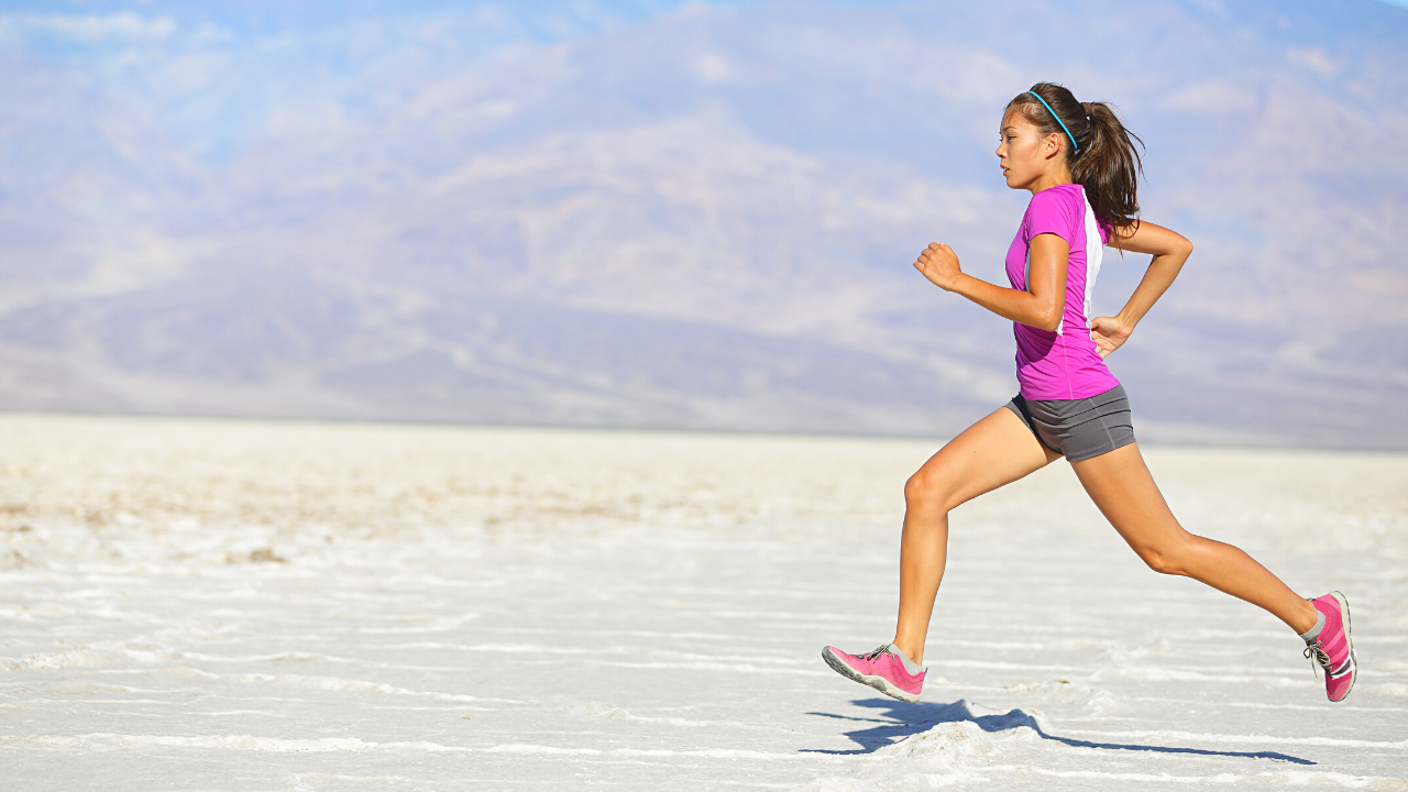 Le chemin de la persévérance