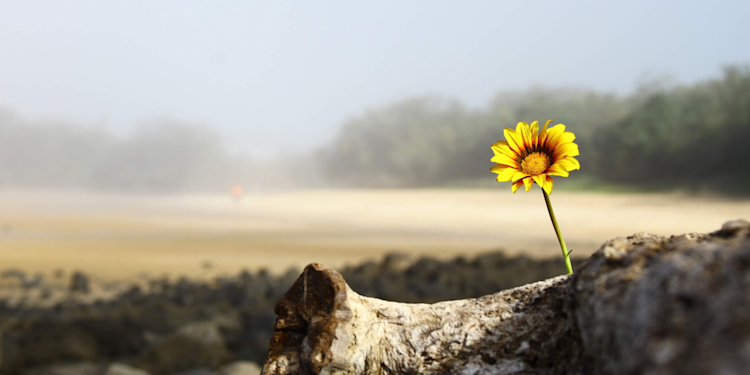 Le Dieu qui débloque les situations désespérées