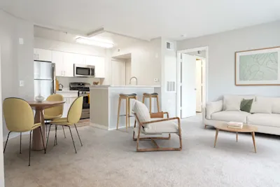 Punta Carena+ - 2 Bed 2 Bath - Living and Dining Area