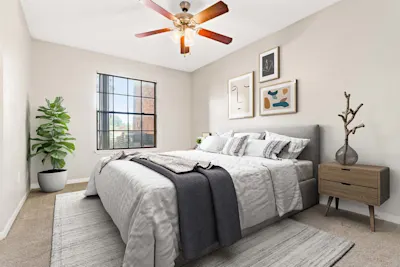 Tangelo - 1 Bed 1 Bath - Bedroom