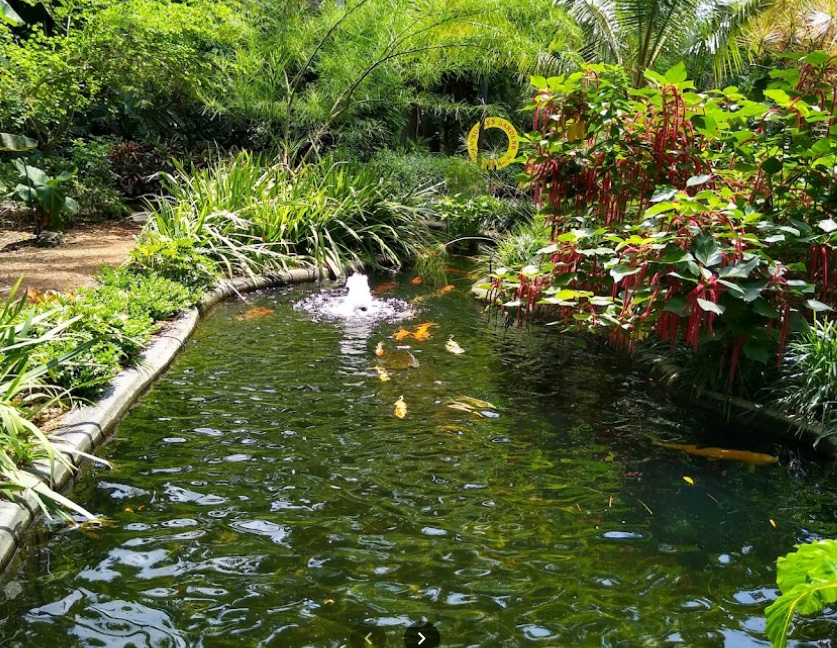 Harper Flats apartments in South Tampa, Florida 1 Bedroom Apts