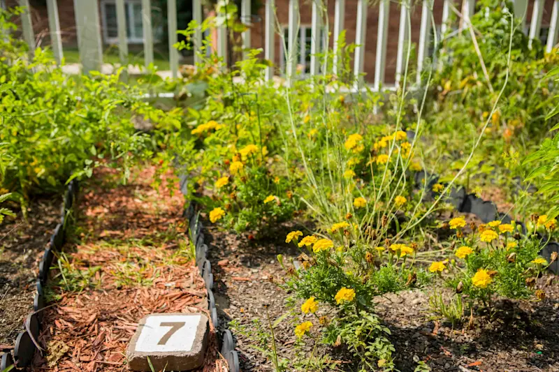 Community Garden