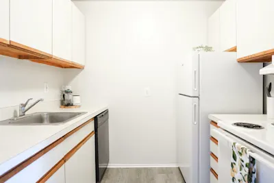 The Maiden - 1 Bed 1 Bath - Kitchen - Euro Style Cabinets