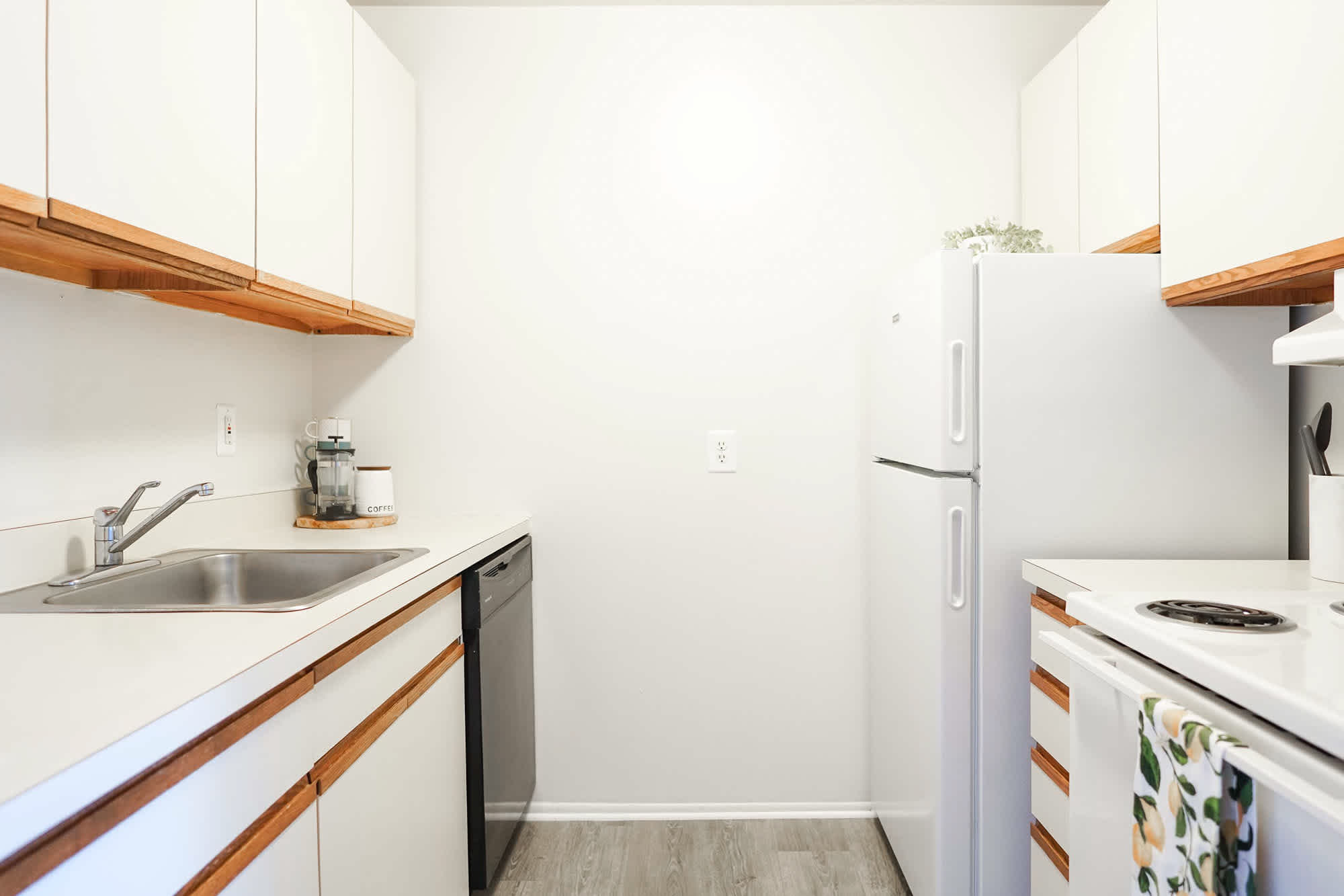 The Maiden - 1 Bed 1 Bath - Kitchen - Euro Style Cabinets