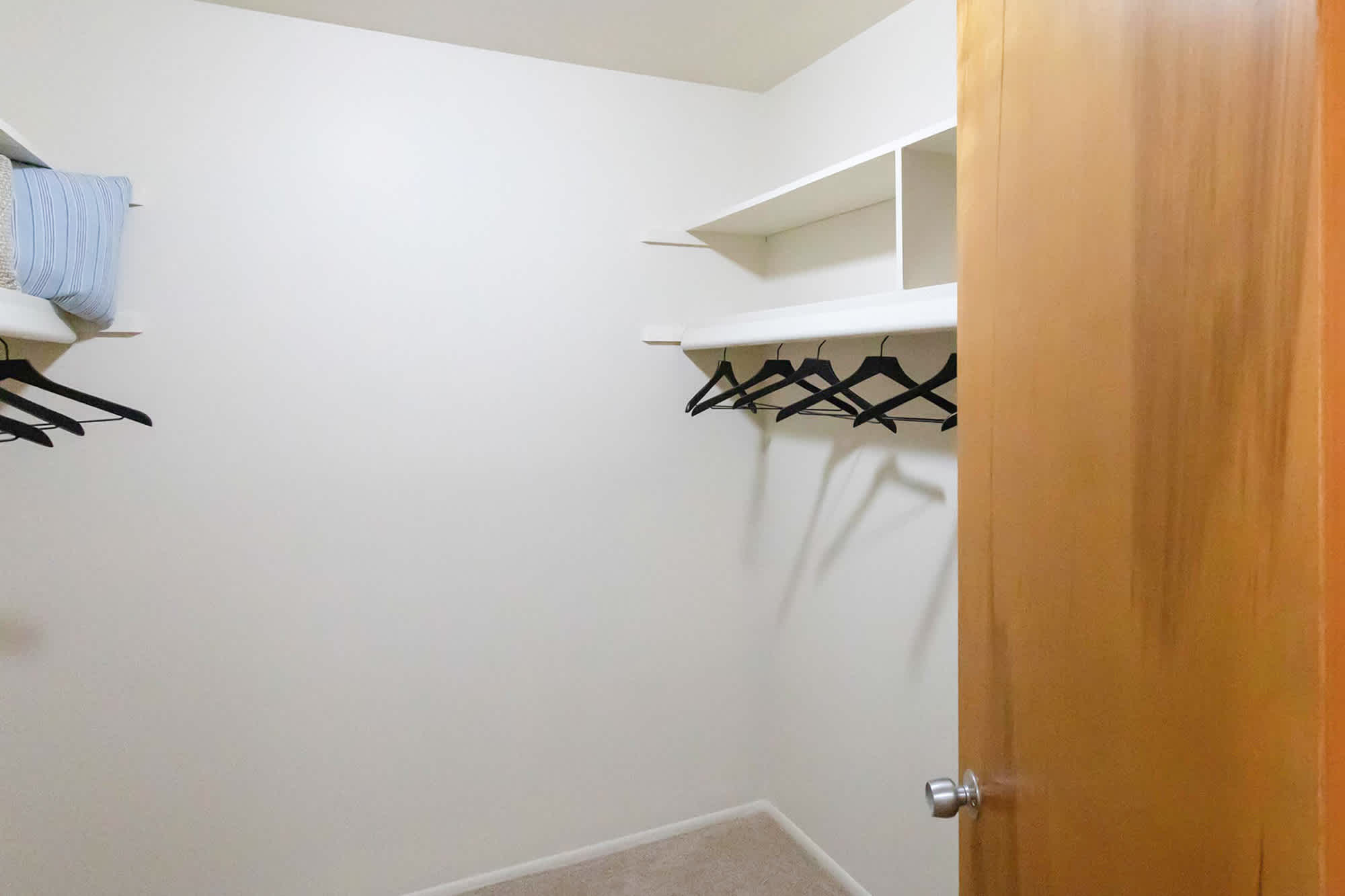 The Cheboygan - 2 Bed 1 Bath - Master Bedroom Closet