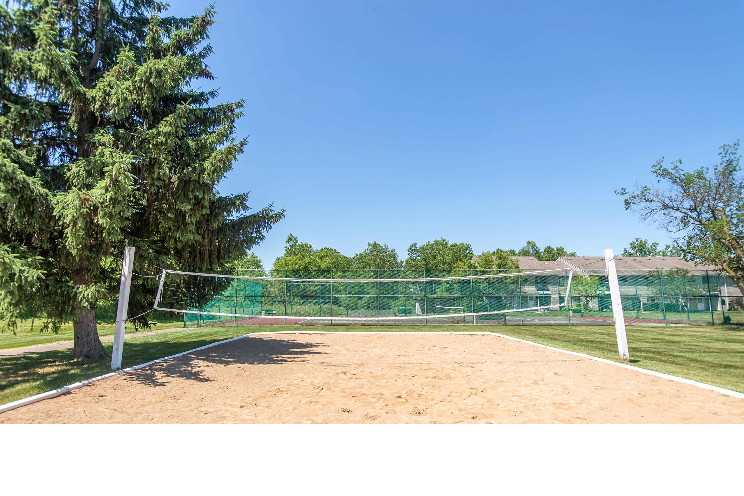 Volleyball Court