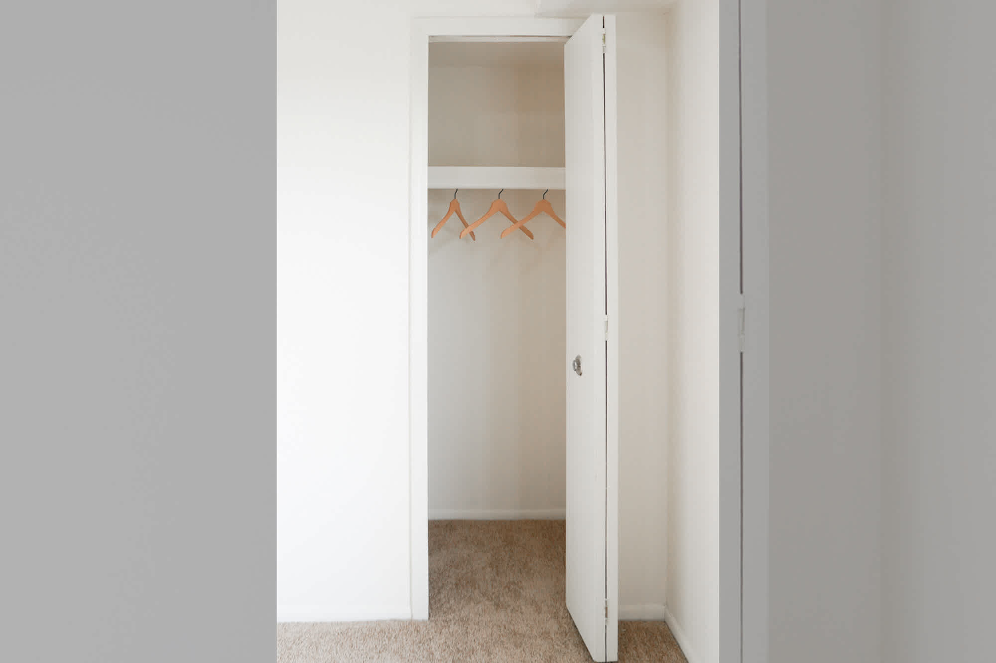 Briarwood - 3 Bed 1.5 Bath - Bedroom Closet