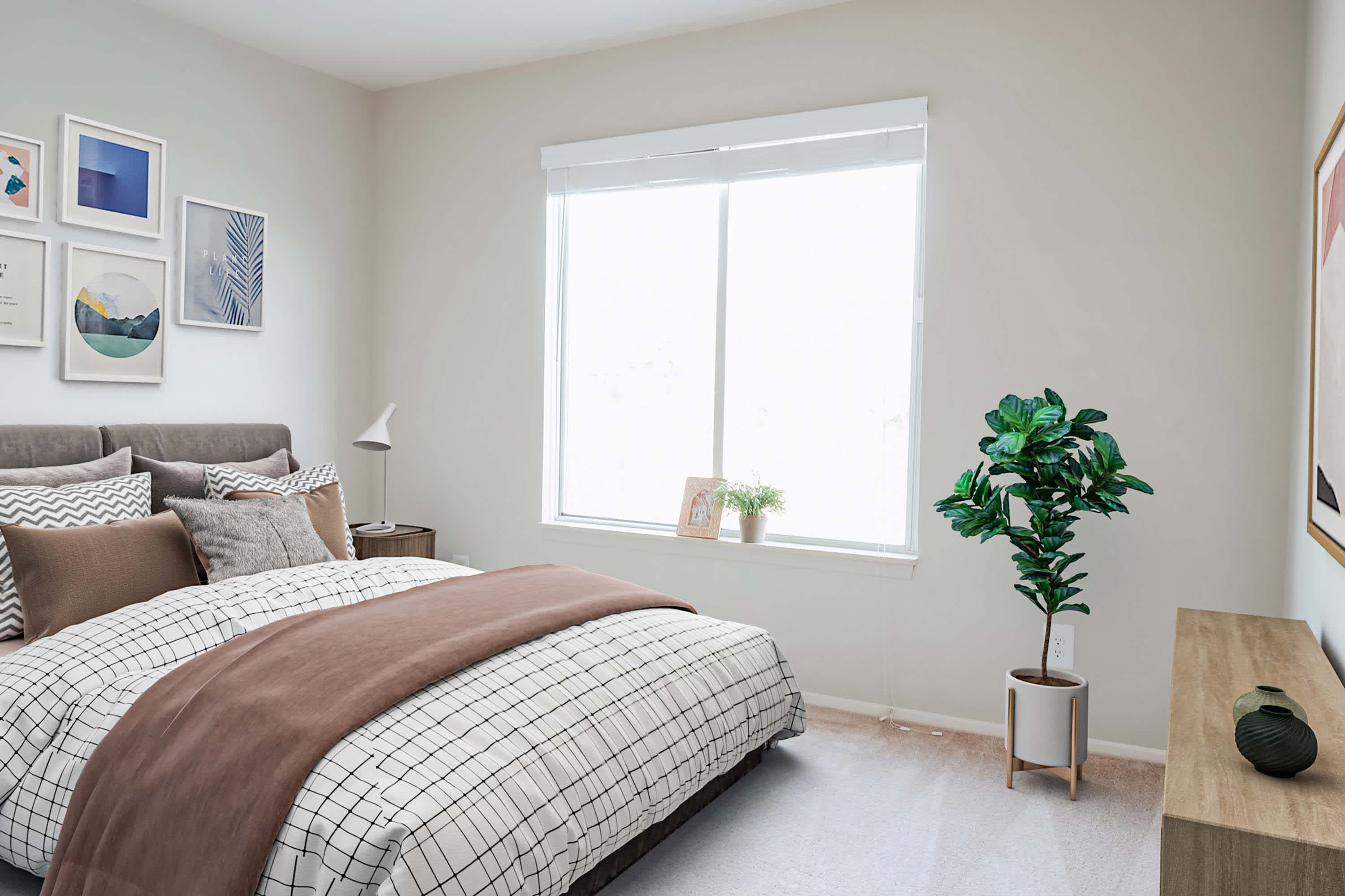 The Sparrow - 2 Bed 1 Bath - Bedroom