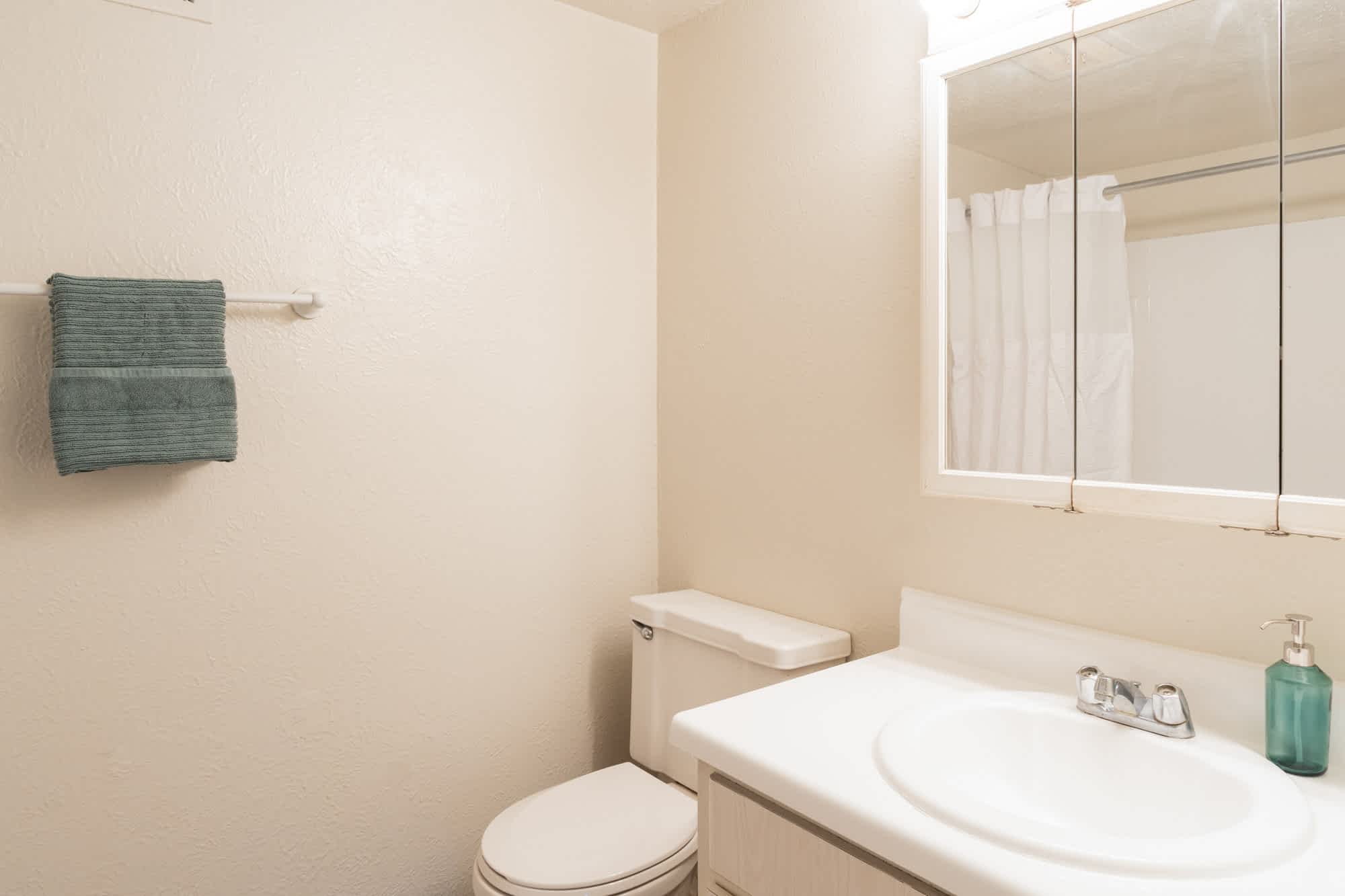 Clague - 2 Bed 1.5 Bath - Bathroom
