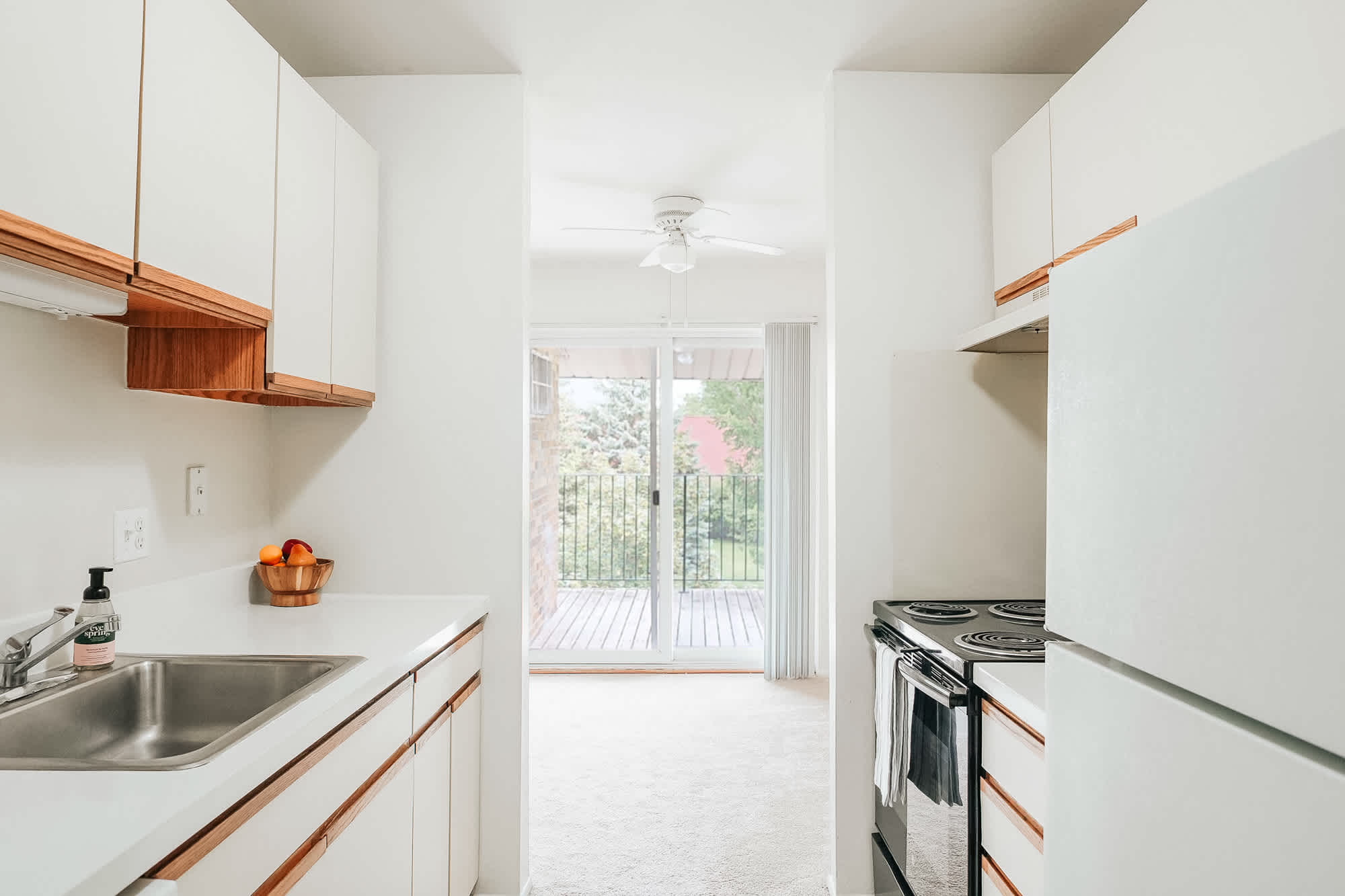 The Springs - 2 Bed 1 Bath - Kitchen (Euro Style Cabinets)