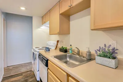 Silver Springs - Studio - Kitchen