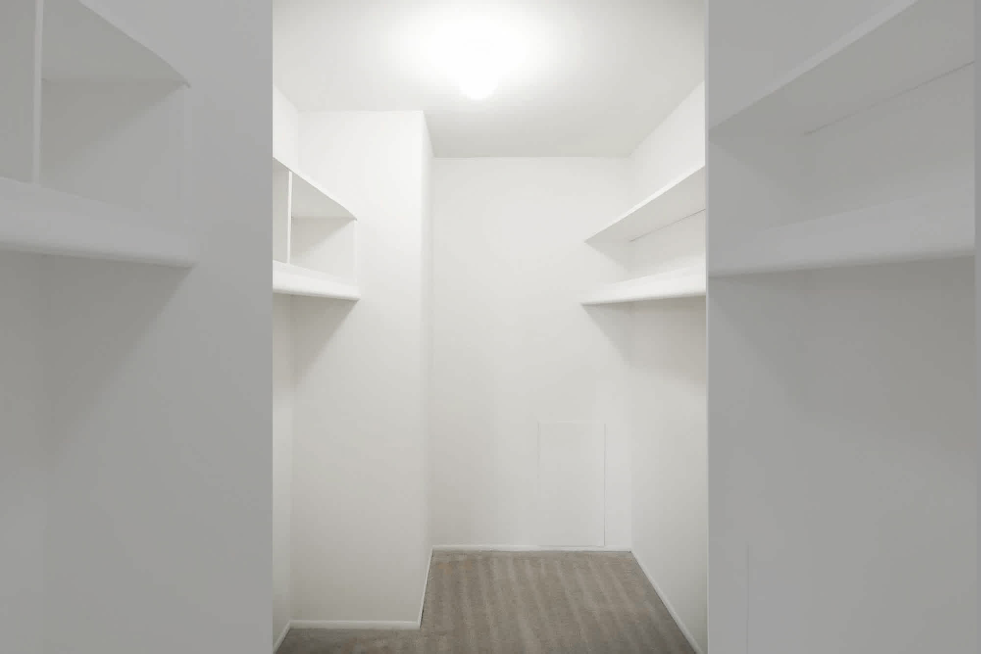 The Duckworth - 1 Bed 1 Bath - Primary Bedroom Walk-In Closet