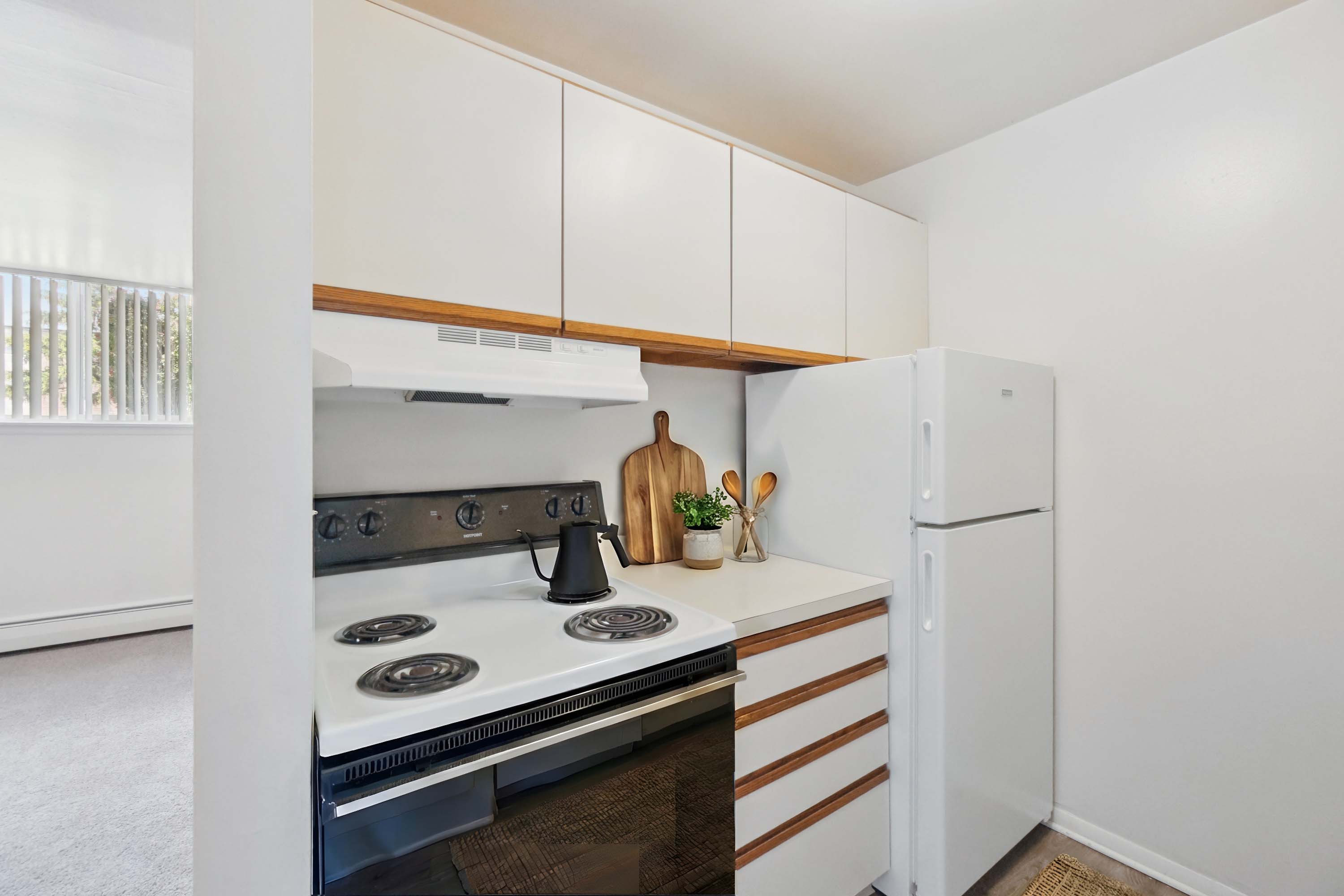 Ann-Arbor-Barton-Hills-kitchen