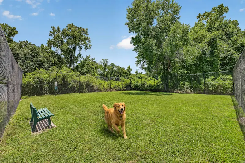 Dog Park