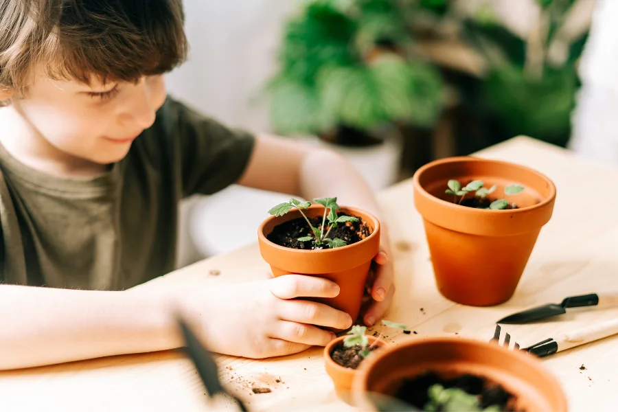 Tips To Make Your Apartment Sustainable And Eco-Friendly
