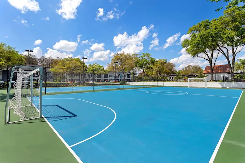 Futsal Court