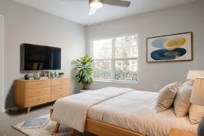 Tartuca - 3 Bed 2 Bath - Bedroom 2