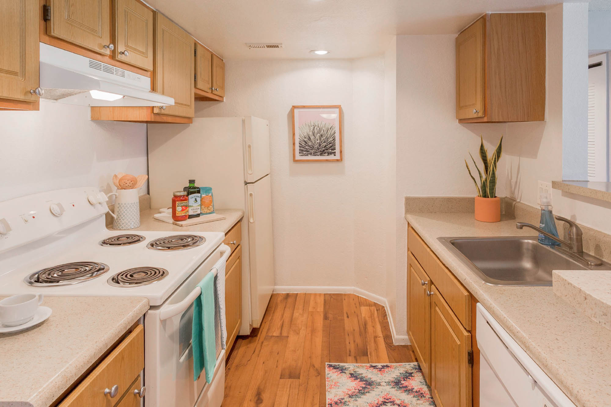 Torrey Pine - 1 Bed 1 Bath - Kitchen