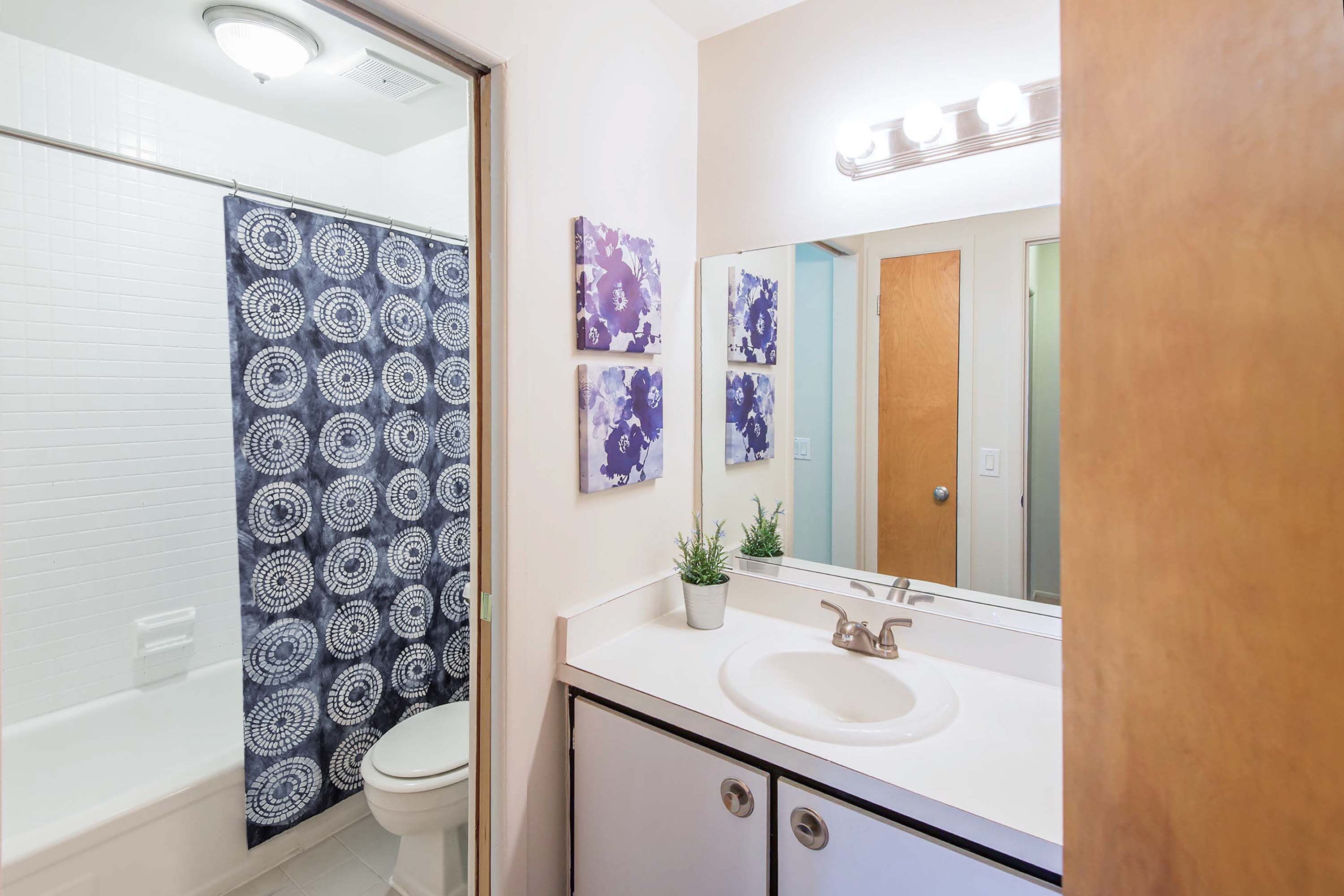 The Au Sable - 2 Bed 1 Bath - Bathroom