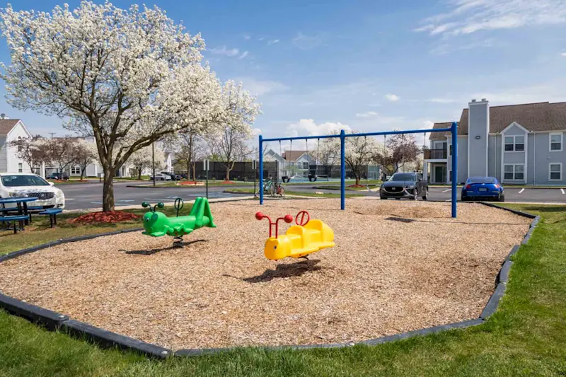 Playground