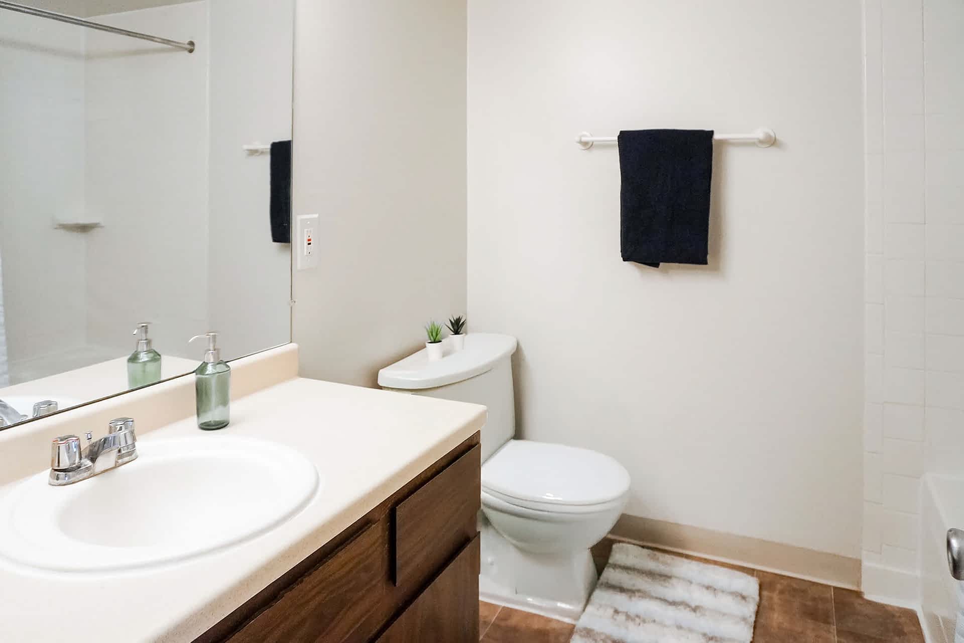 Alpena - 2 Bed 1 Bath - Bathroom