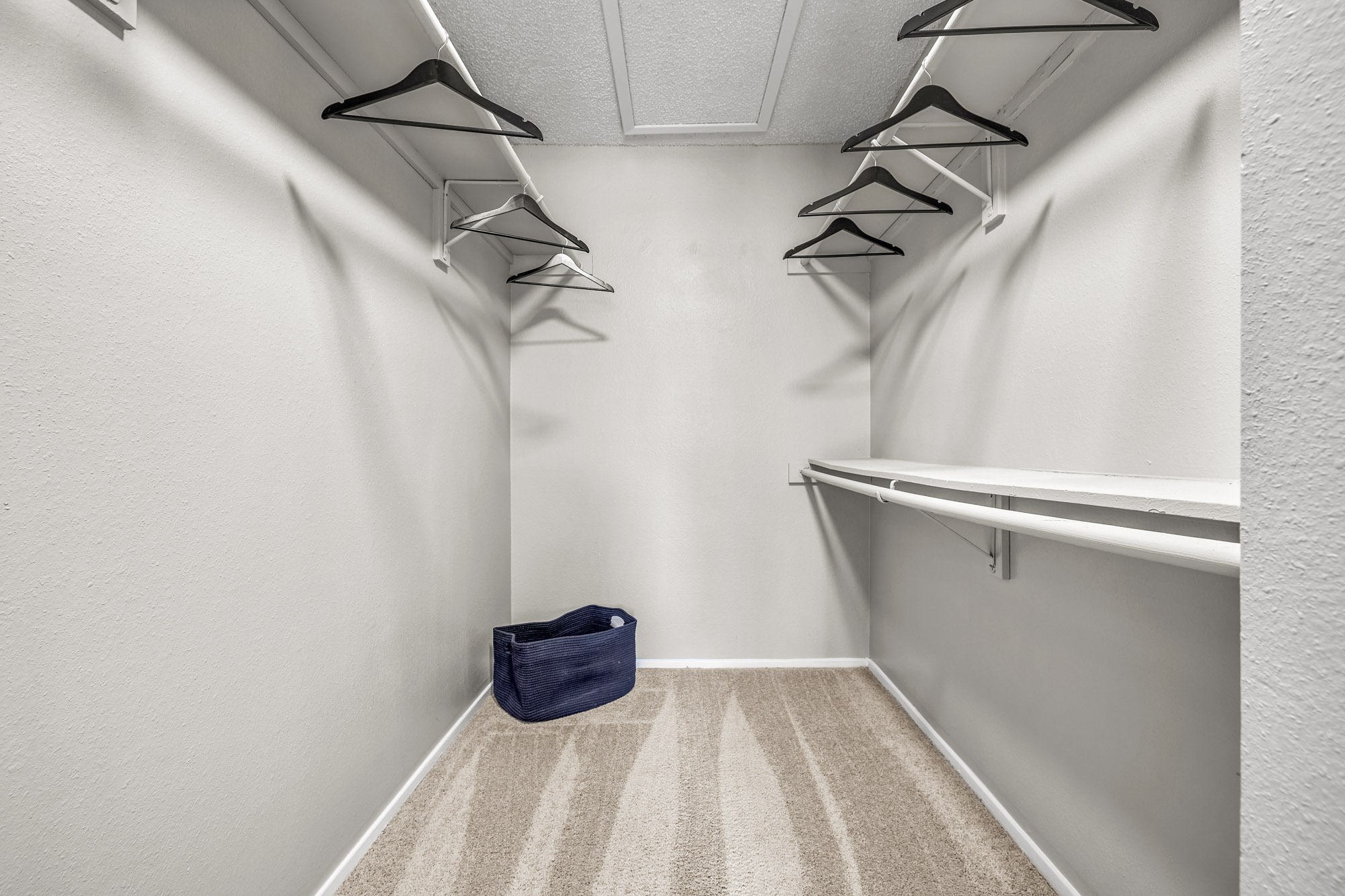 Adler - 2 Bed 2 Bath - Walk-In Closet