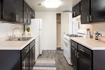 Bay City - 2 Bed 1 Bath - Kitchen (Black Shaker Cabinets)