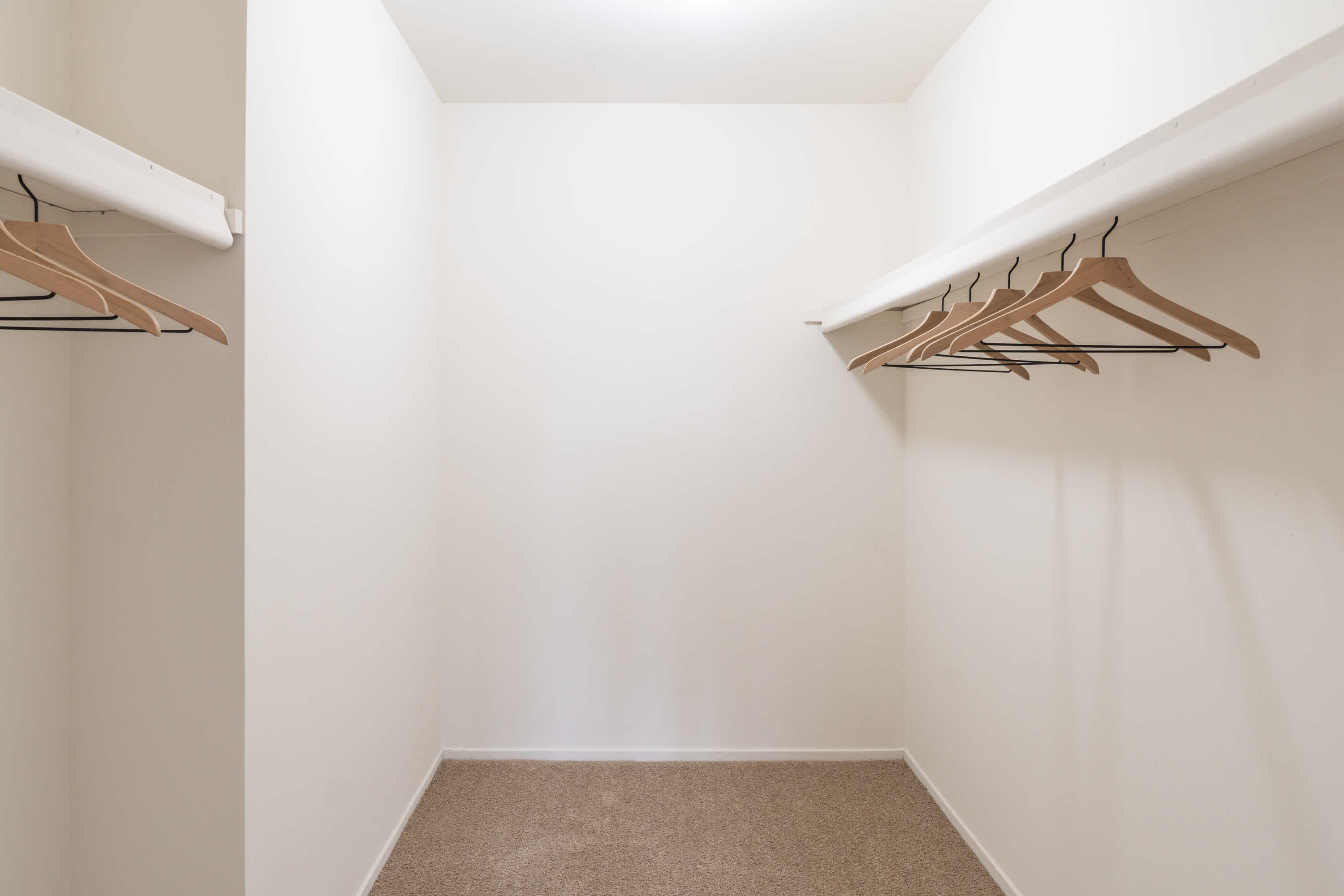 Meadowlark - 1 Bed 1 Bath - Walk-In Closet