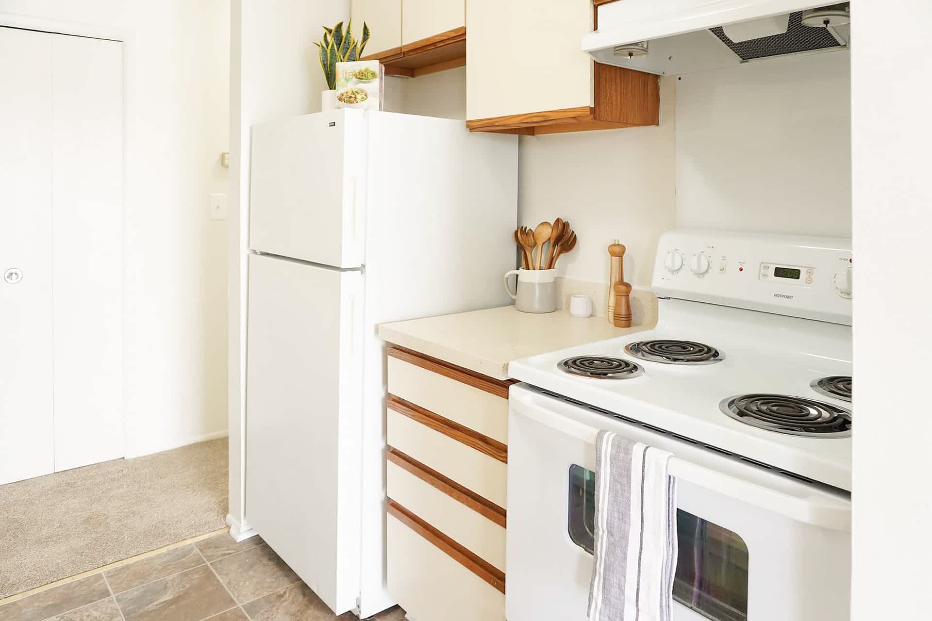 The Meadows - 1 Bed 1 Bath - Kitchen - Euro Style Cabinets