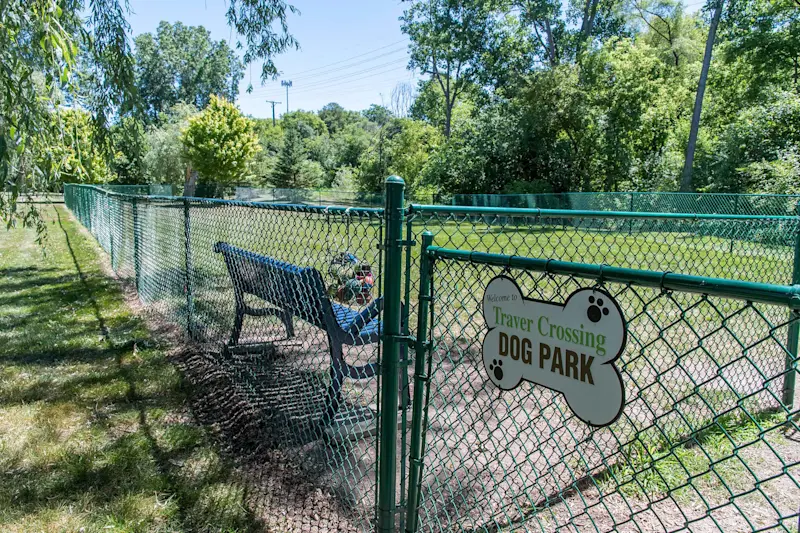 Dog Park