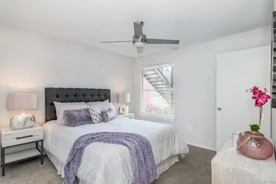 Clearwater - 1 Bed 1 Bath - Bedroom