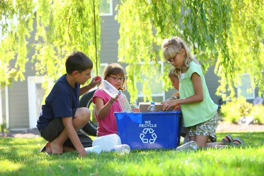 Recycle and Compost