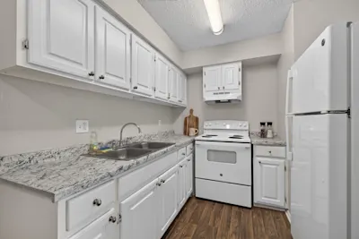Lynx-2bed--1bath-Kitchen