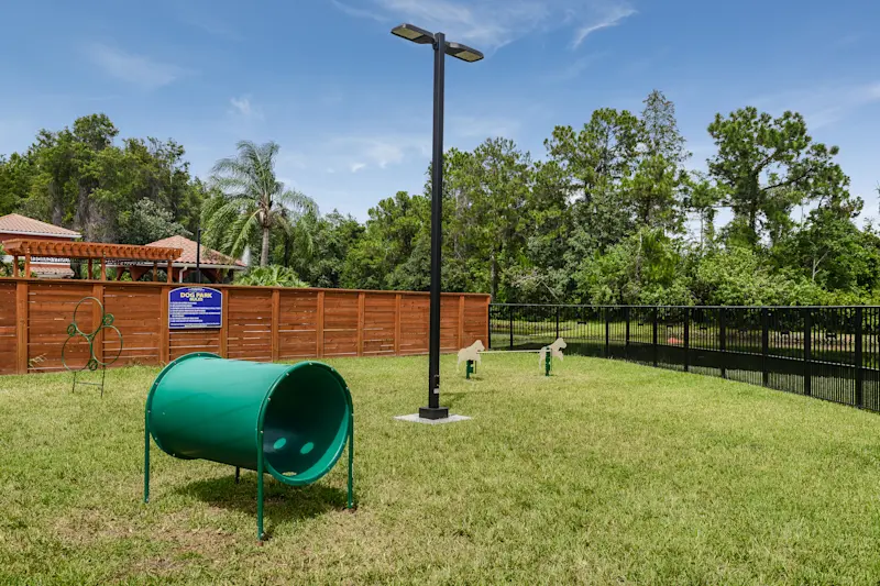 Dog Park