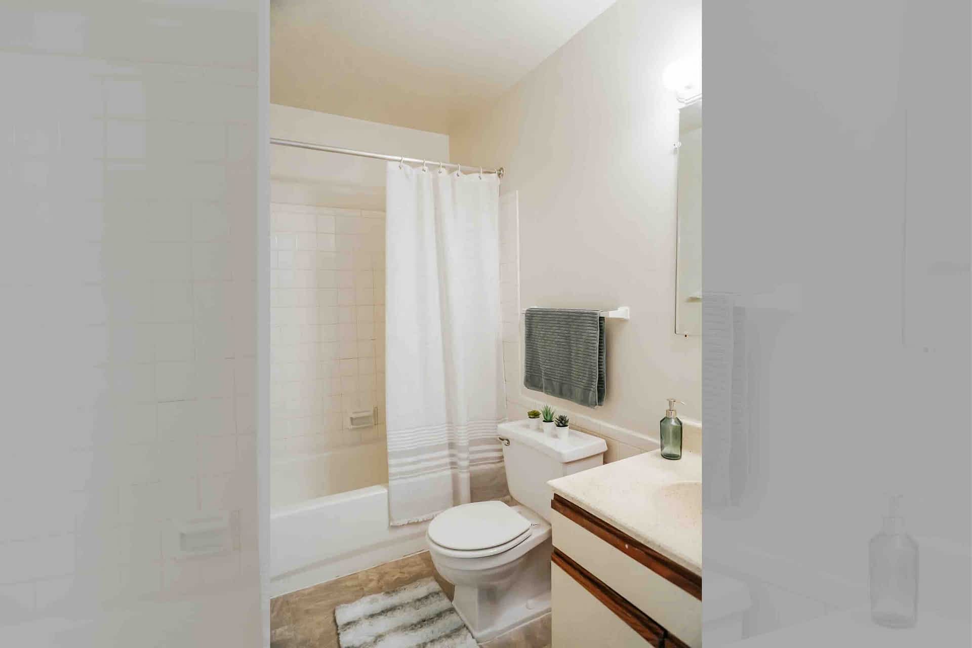 Michigan - 2 Bed 1 Bath - Bathroom