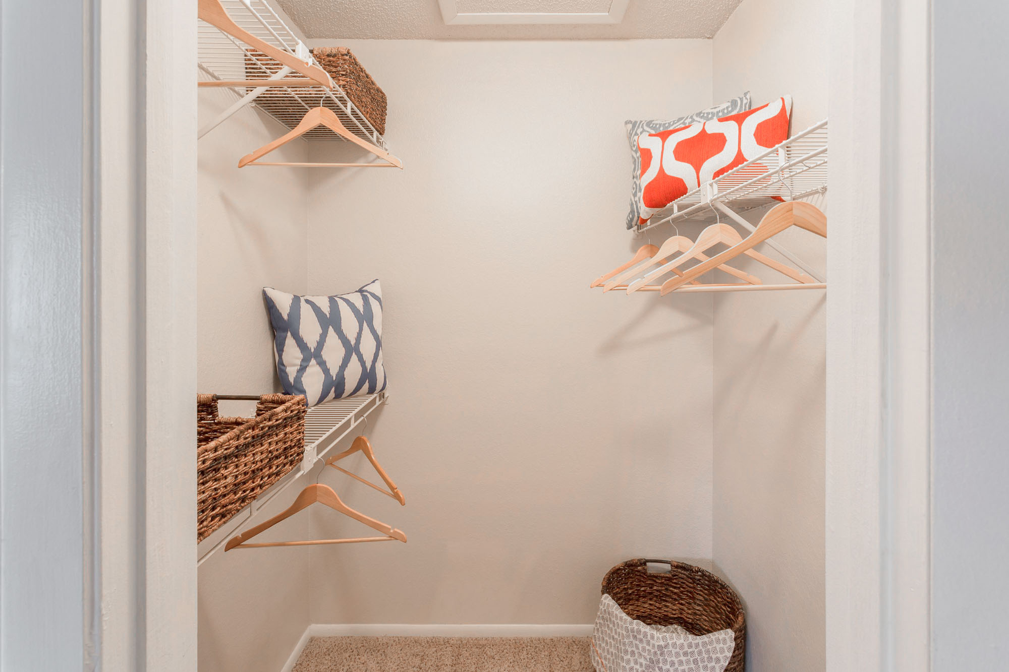 Torrey Pine - 1 Bed 1 Bath - Primary Bedroom Closet