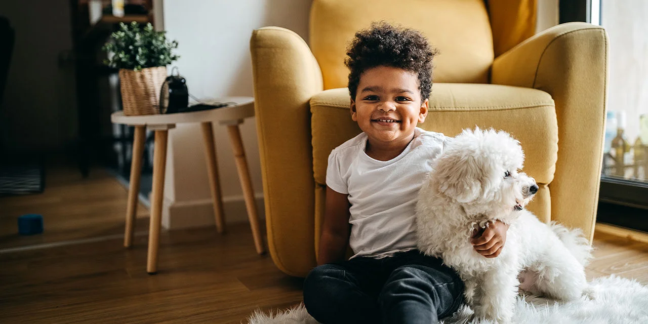 How to Take Care of Your Dog in an Apartment