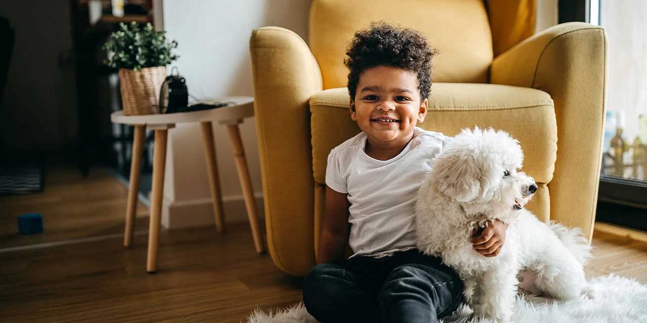 How to Take Care of Your Dog in an Apartment