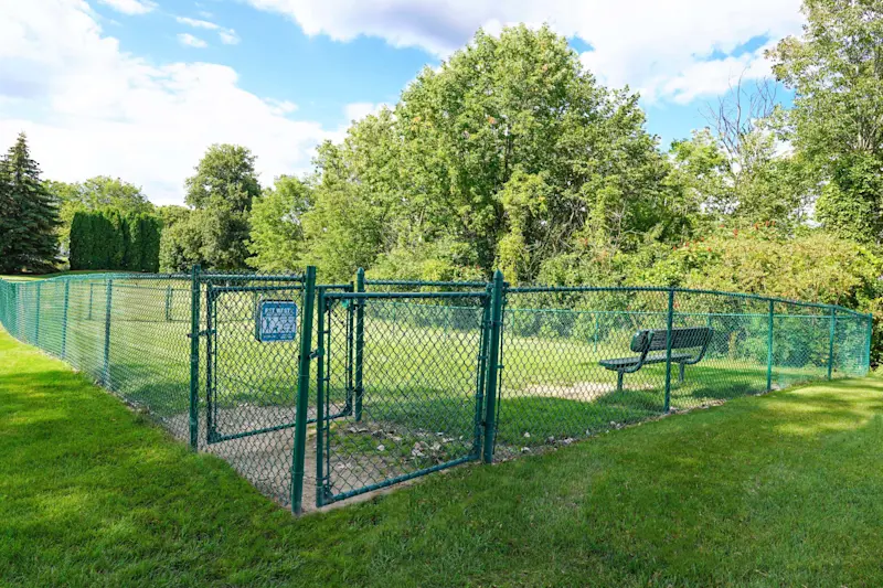 Dog Park