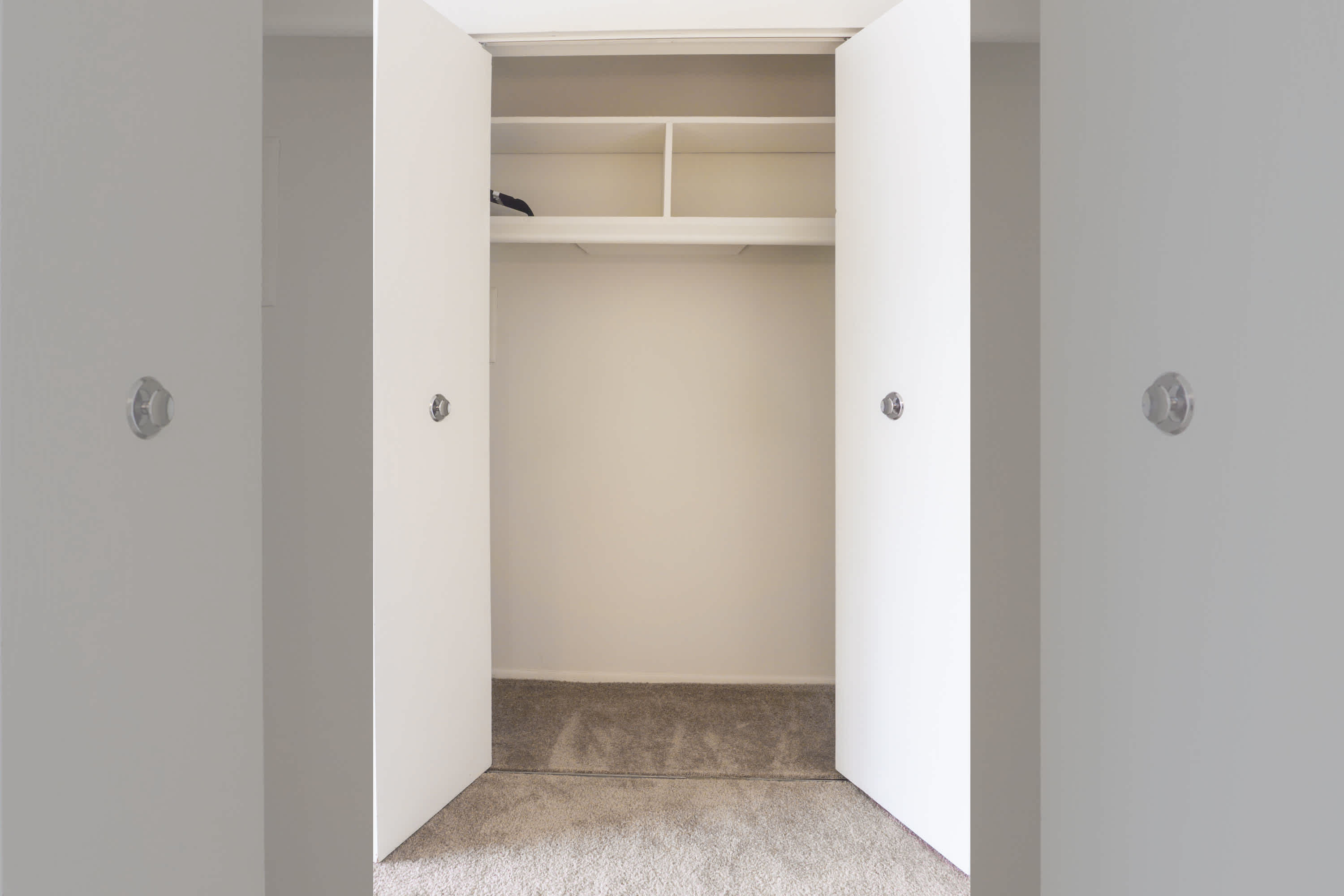 The Geddes - 1 Bed 1 Bath - Living Room Closet