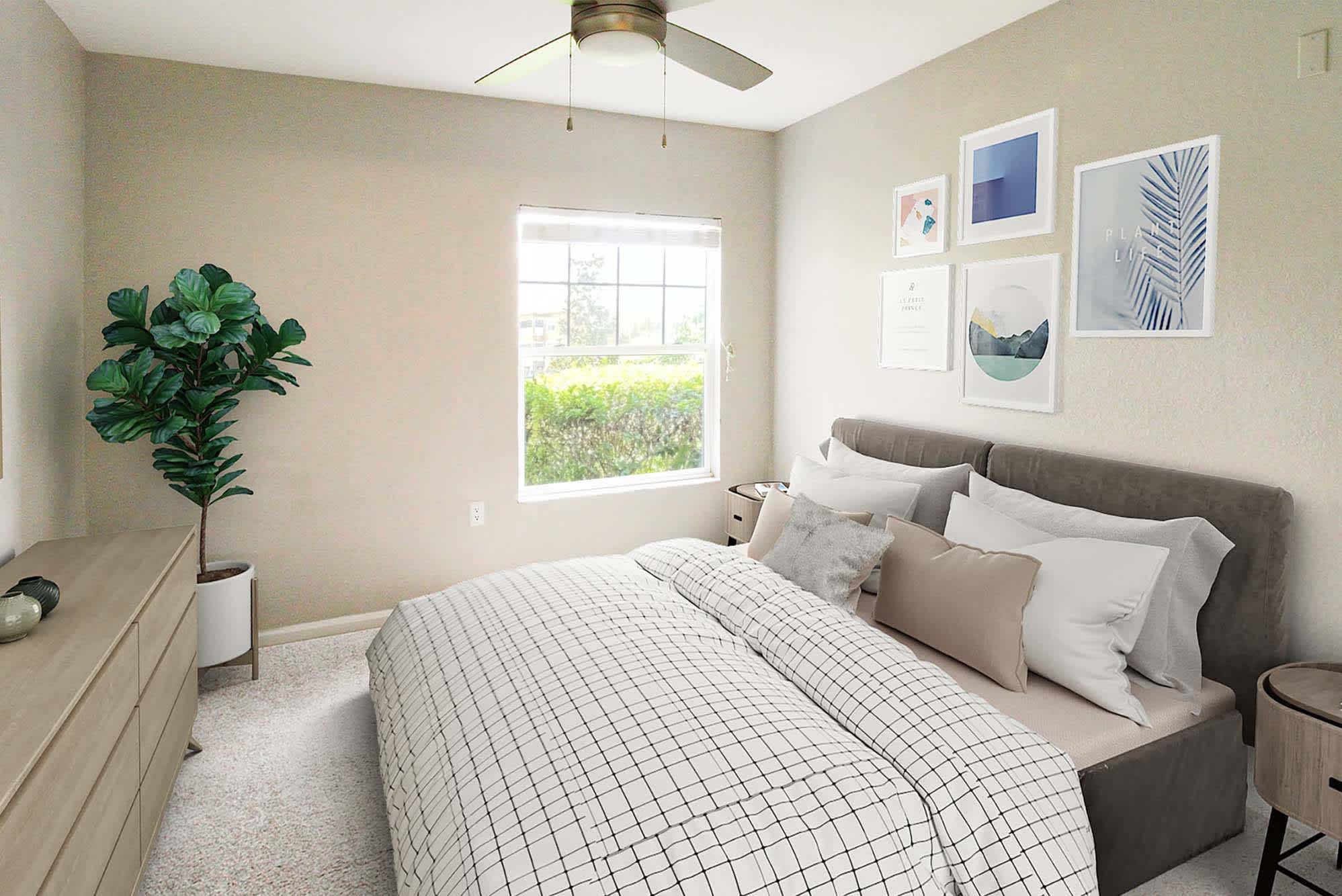 Aquila - 1 Bed 1 Bath - Bedroom