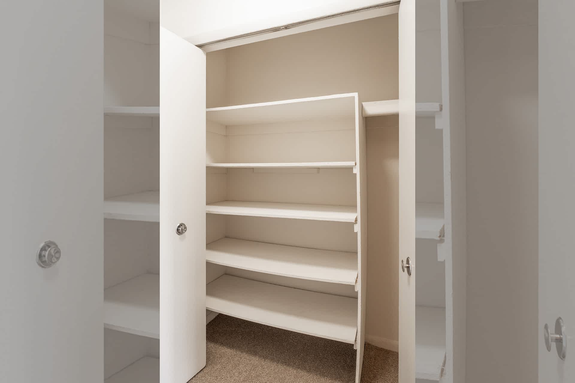 Michigan - 2 Bed 1 Bath - Closet