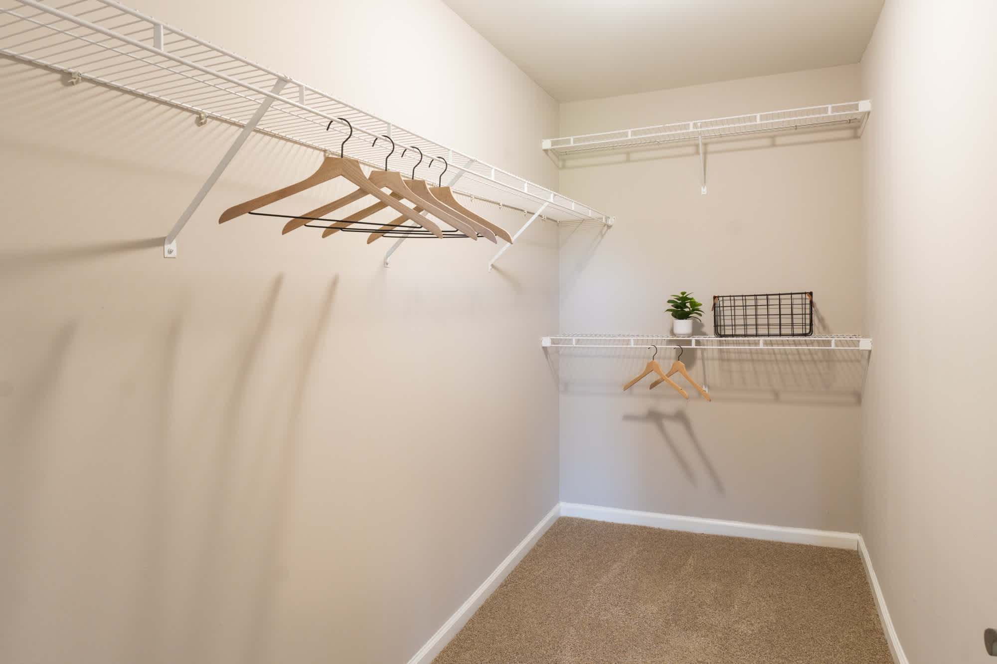 The Aspen - 4 Bed 2.5 Bath - Primary Bedroom Closet