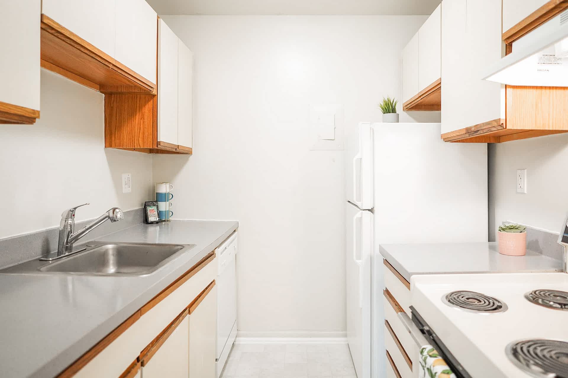 The Cedar - 2 Bed 1 Bath - Kitchen (Euro Style Cabinets)