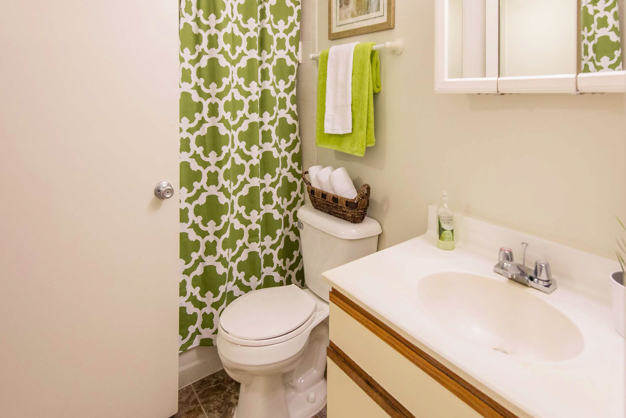 The Willow - 2 Bed 1 Bath - Bathroom - Euro Style Cabinets